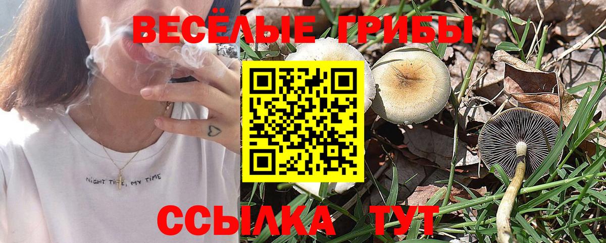 Галлюциногенные грибы GOLDEN TEACHER  Вход с VPN  Великий Новгород 